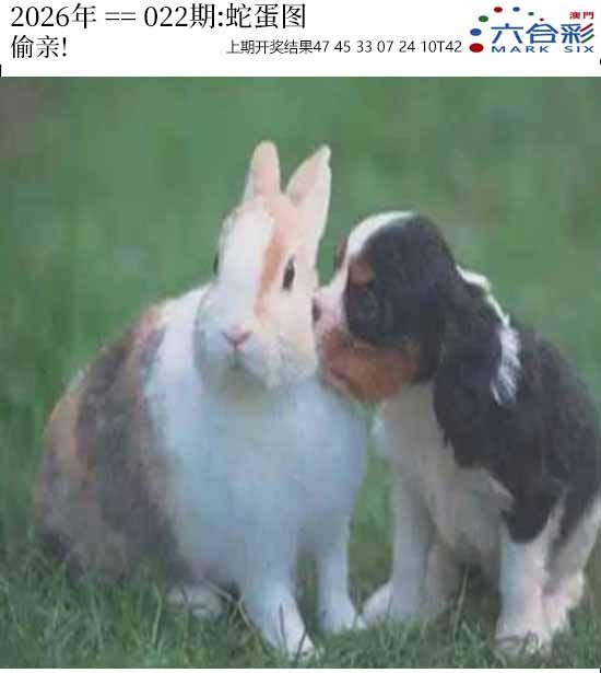 022期正版蛇蛋图[图]