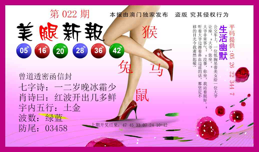 022期美腿新报[图]