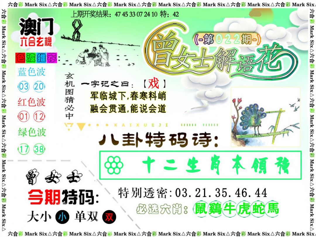 022期曾女士解语花[图]