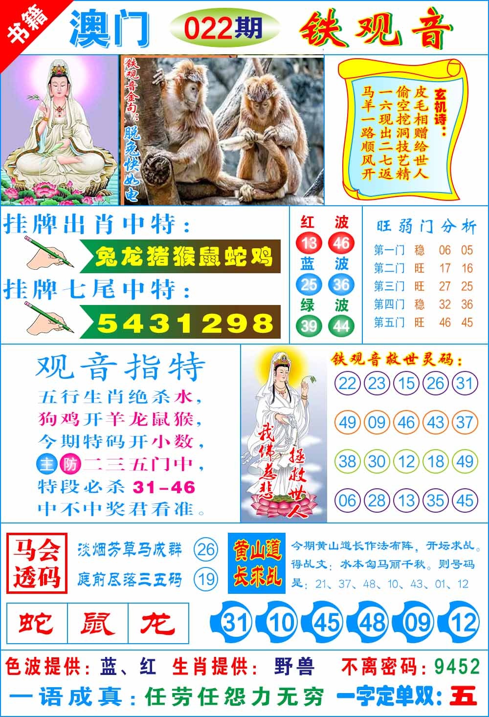 022期澳门铁观音[图]