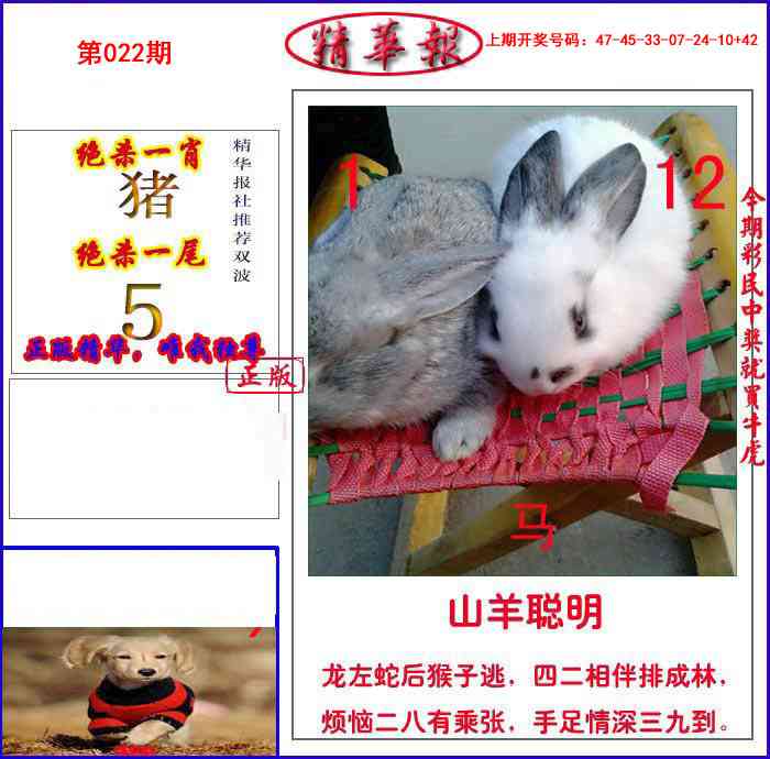 022期新精华报报[图]