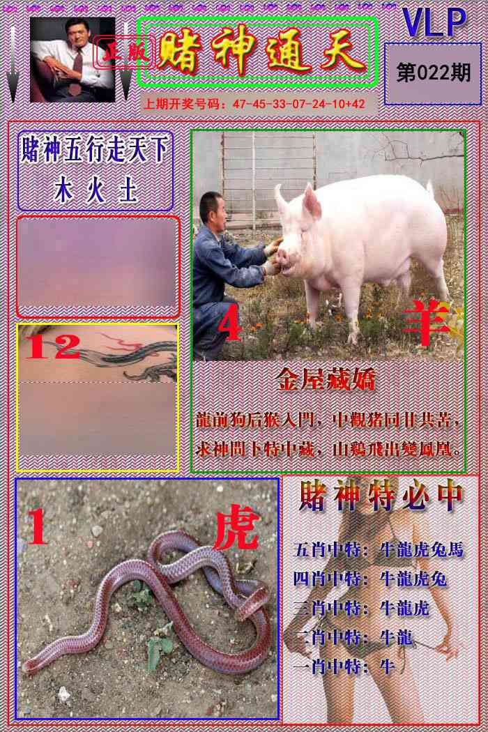 022期赌神通天报[图]