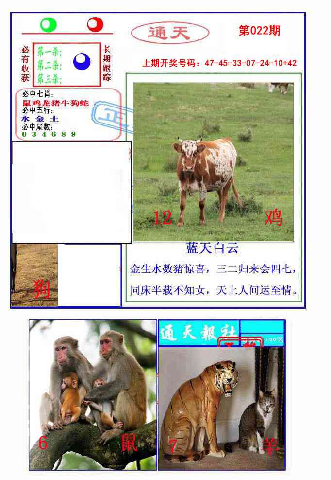 022期通天杀波图2[图]