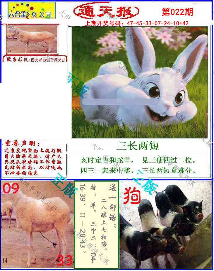 022期大陆通天报[图]