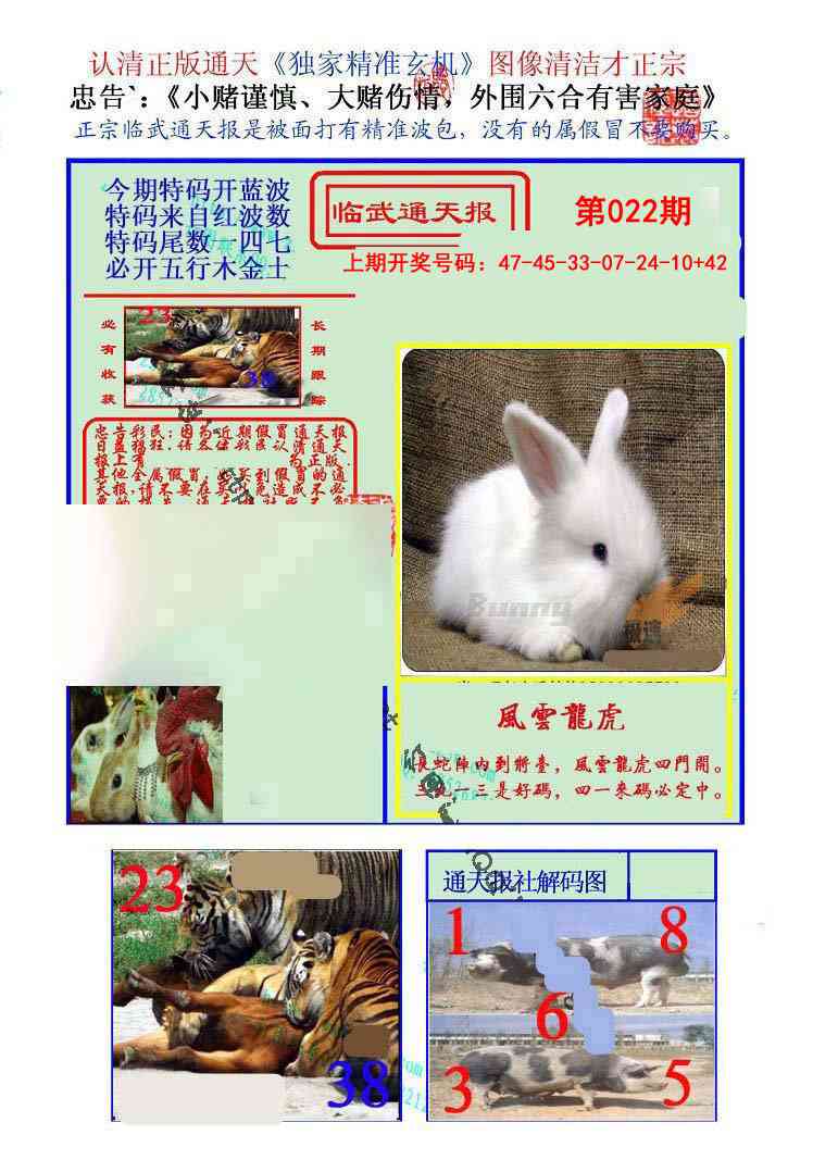 022期临武通天报[图]