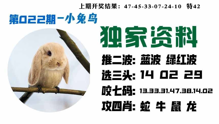 022期小兔鸟[图]